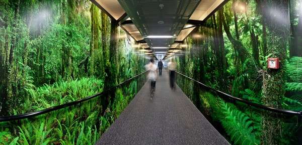 West Coast airbridge